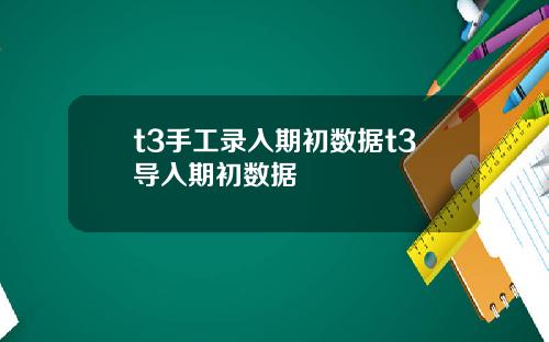 t3手工录入期初数据t3导入期初数据