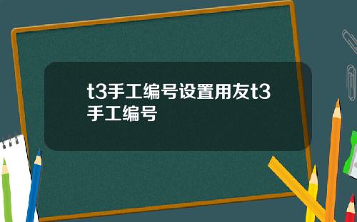 t3手工编号设置用友t3手工编号