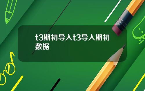 t3期初导入t3导入期初数据