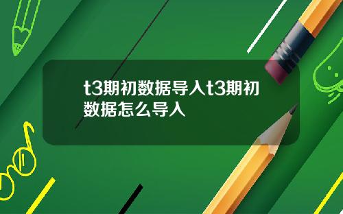 t3期初数据导入t3期初数据怎么导入