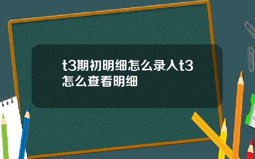 t3期初明细怎么录入t3怎么查看明细