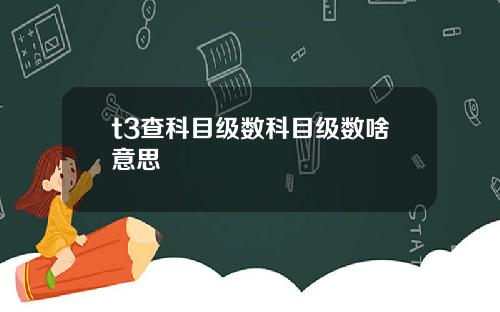t3查科目级数科目级数啥意思