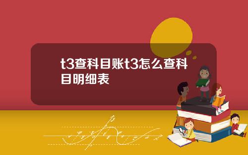 t3查科目账t3怎么查科目明细表