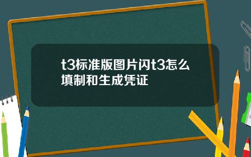 t3标准版图片闪t3怎么填制和生成凭证