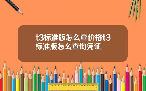 t3标准版怎么查价格t3标准版怎么查询凭证