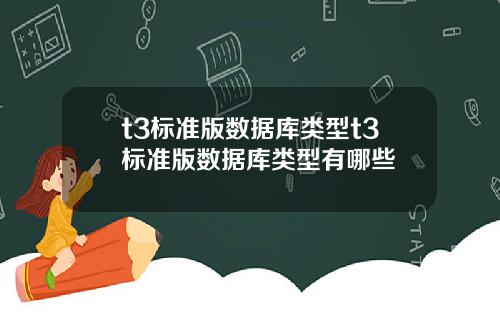 t3标准版数据库类型t3标准版数据库类型有哪些