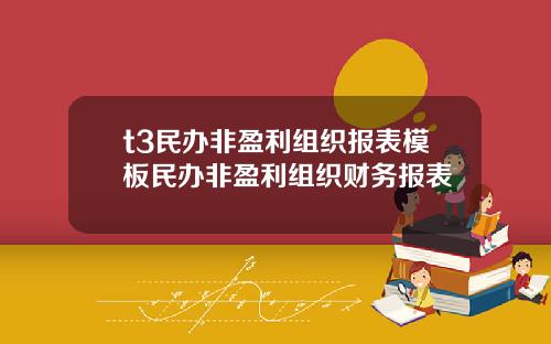 t3民办非盈利组织报表模板民办非盈利组织财务报表