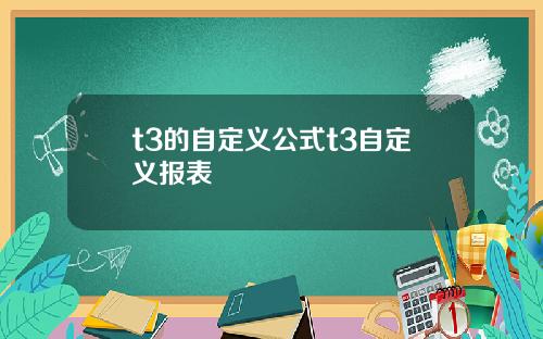 t3的自定义公式t3自定义报表