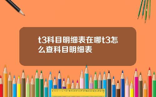 t3科目明细表在哪t3怎么查科目明细表