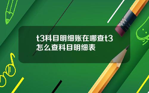 t3科目明细账在哪查t3怎么查科目明细表