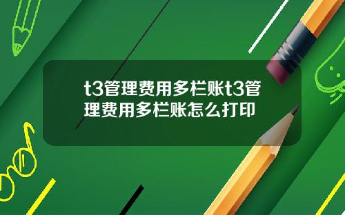 t3管理费用多栏账t3管理费用多栏账怎么打印