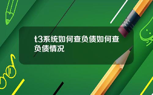 t3系统如何查负债如何查负债情况