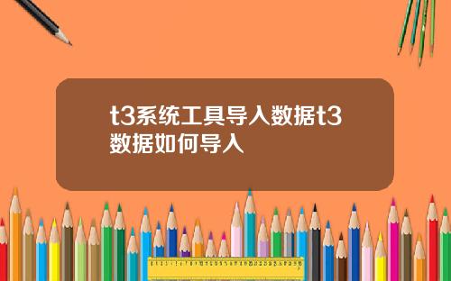 t3系统工具导入数据t3数据如何导入