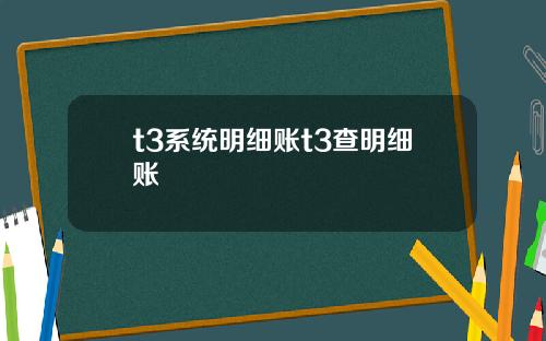 t3系统明细账t3查明细账