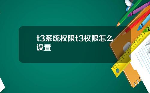 t3系统权限t3权限怎么设置