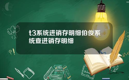 t3系统进销存明细伯俊系统查进销存明细