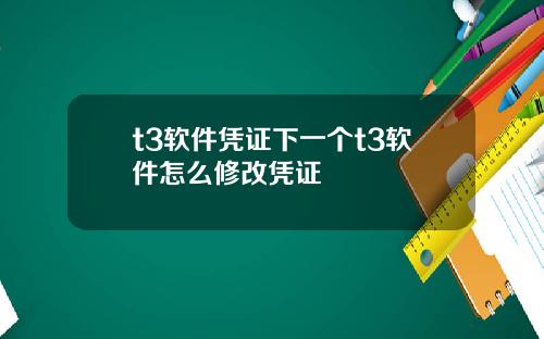 t3软件凭证下一个t3软件怎么修改凭证