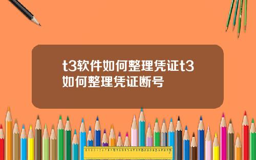 t3软件如何整理凭证t3如何整理凭证断号