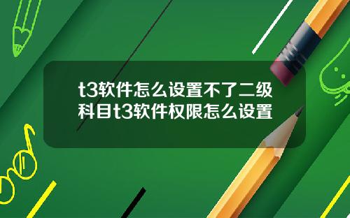 t3软件怎么设置不了二级科目t3软件权限怎么设置