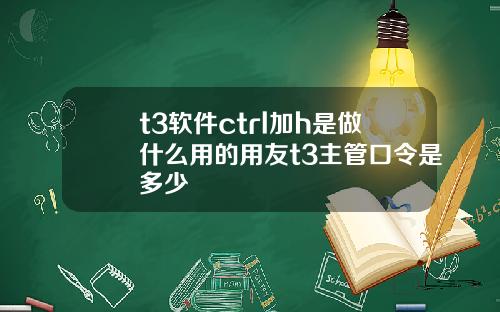 t3软件ctrl加h是做什么用的用友t3主管口令是多少