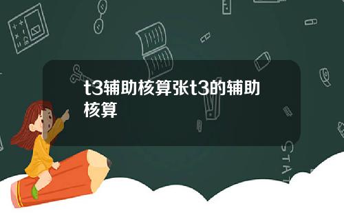 t3辅助核算张t3的辅助核算