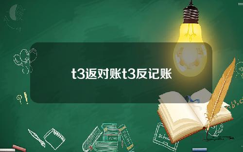 t3返对账t3反记账