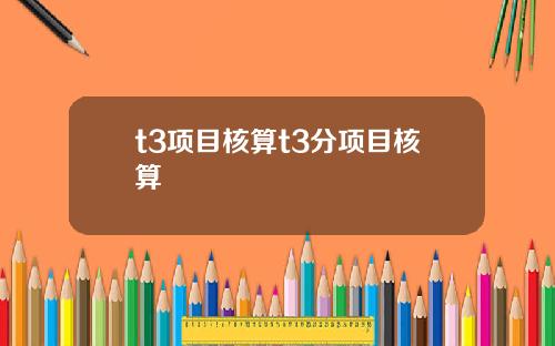 t3项目核算t3分项目核算