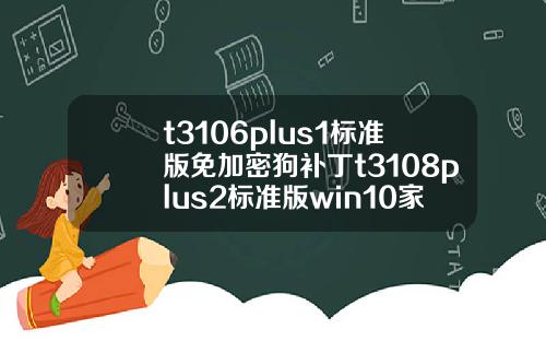 t3106plus1标准版免加密狗补丁t3108plus2标准版win10家庭版