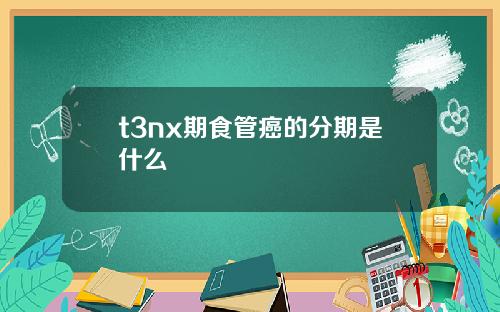 t3nx期食管癌的分期是什么