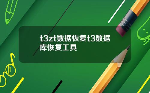 t3zt数据恢复t3数据库恢复工具