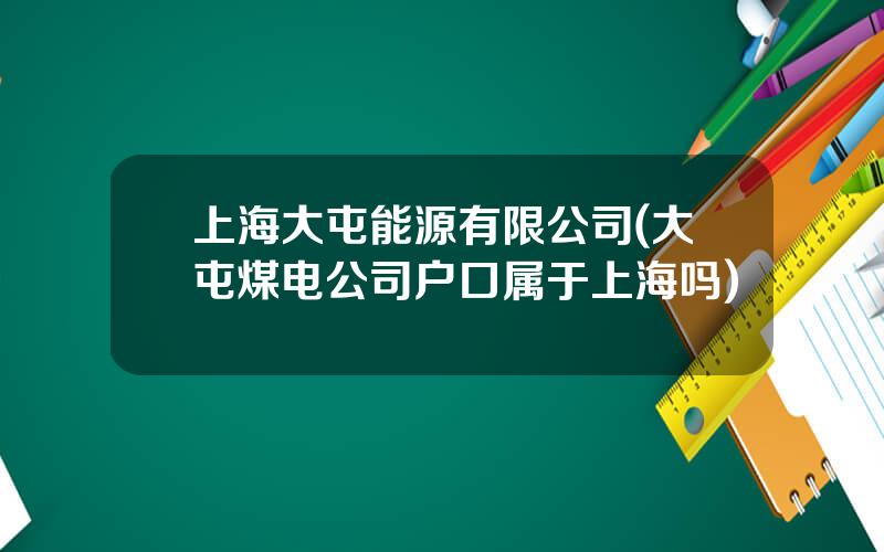 上海大屯能源有限公司(大屯煤电公司户口属于上海吗)
