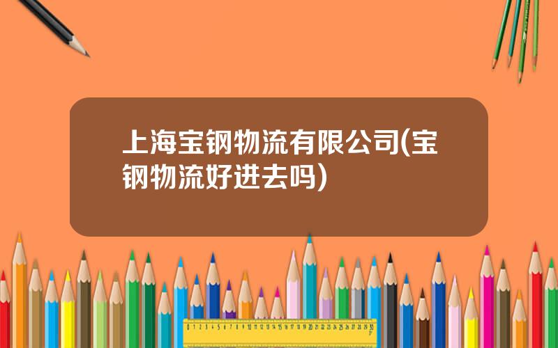 上海宝钢物流有限公司(宝钢物流好进去吗)