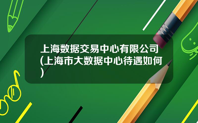 上海数据交易中心有限公司(上海市大数据中心待遇如何)