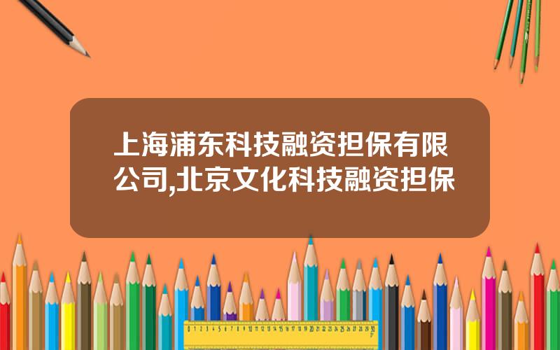 上海浦东科技融资担保有限公司,北京文化科技融资担保