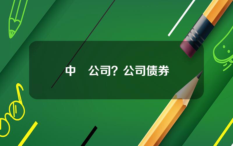 中劵公司？公司债券