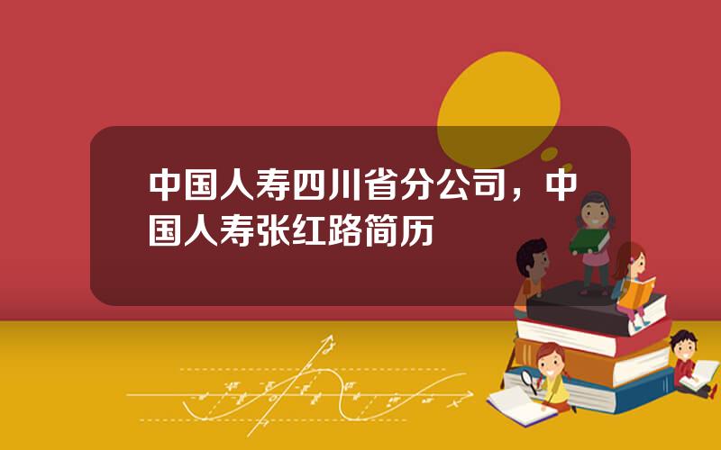 中国人寿四川省分公司，中国人寿张红路简历