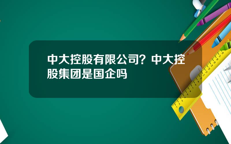 中大控股有限公司？中大控股集团是国企吗