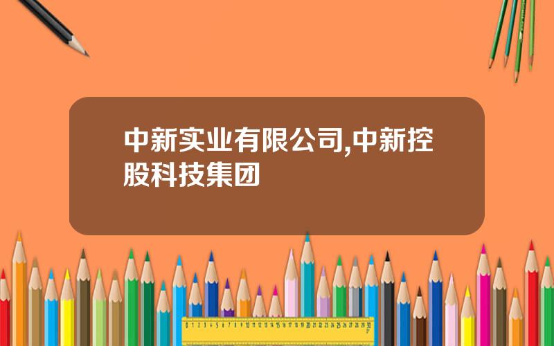 中新实业有限公司,中新控股科技集团