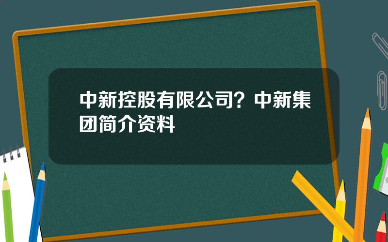 中新控股有限公司？中新集团简介资料