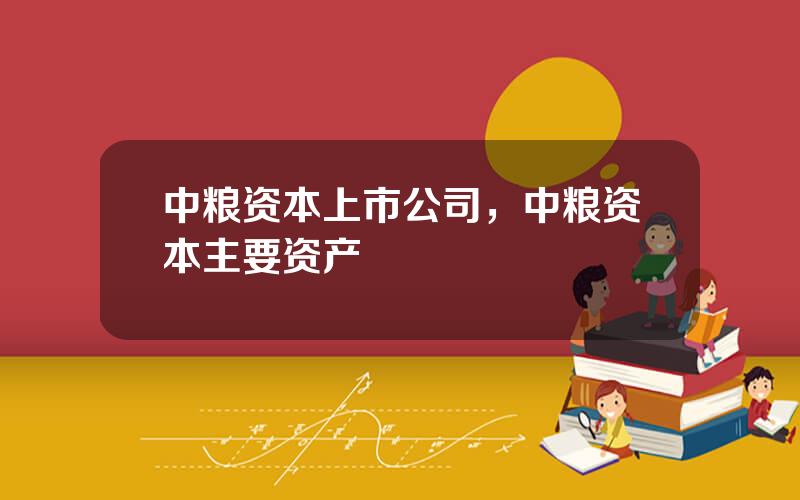 中粮资本上市公司，中粮资本主要资产