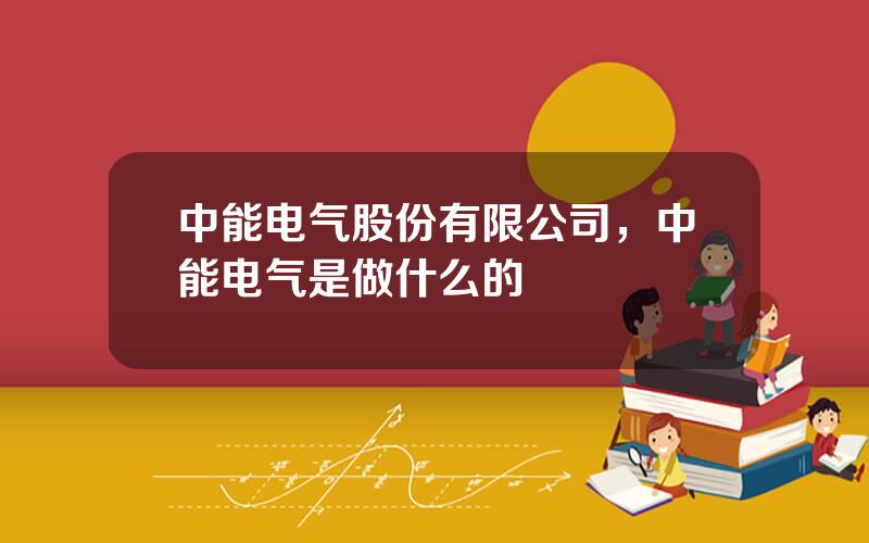 中能电气股份有限公司，中能电气是做什么的