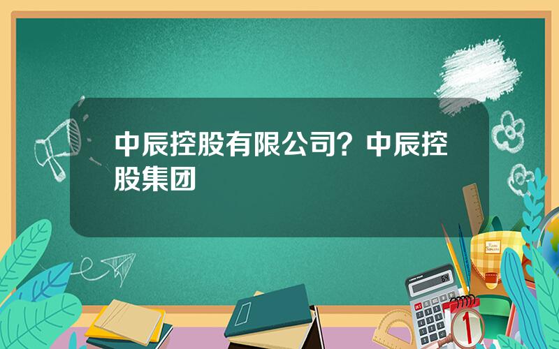 中辰控股有限公司？中辰控股集团