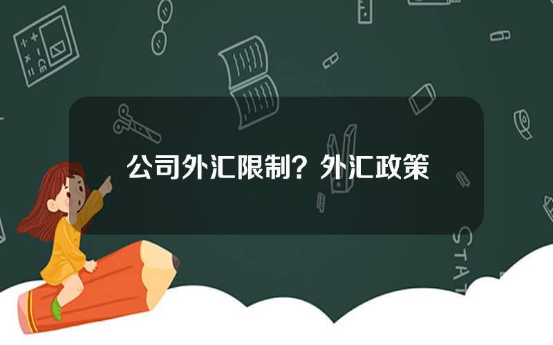 公司外汇限制？外汇政策