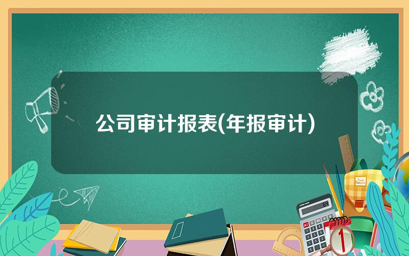 公司审计报表(年报审计)