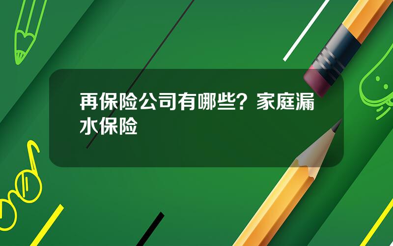 再保险公司有哪些？家庭漏水保险