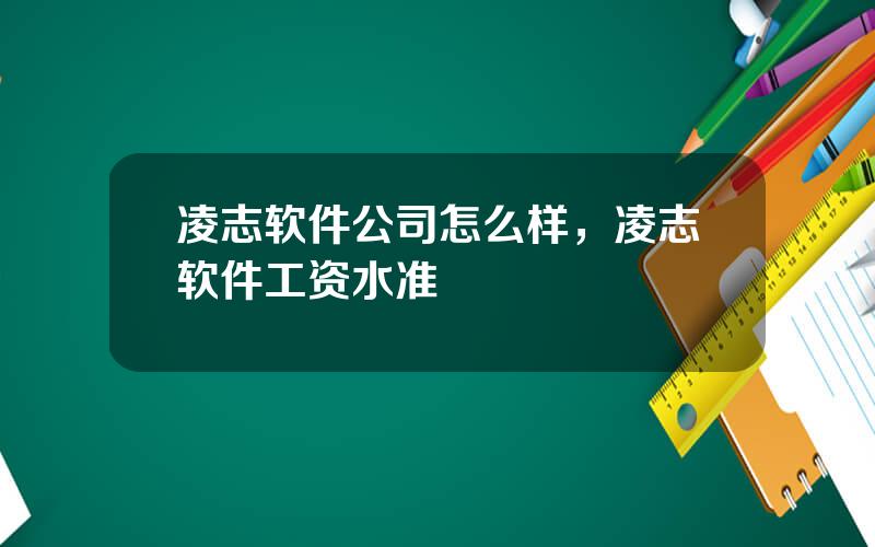 凌志软件公司怎么样，凌志软件工资水准
