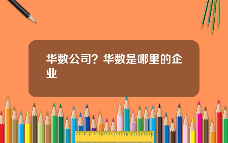 华数公司？华数是哪里的企业
