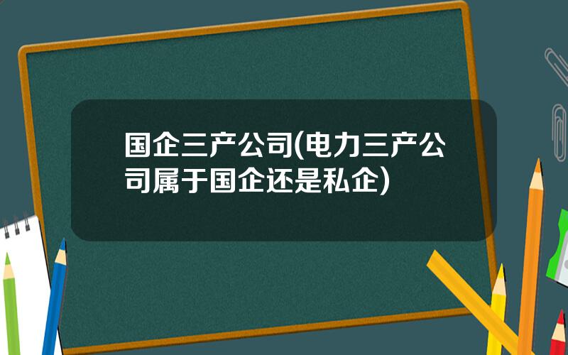 国企三产公司(电力三产公司属于国企还是私企)