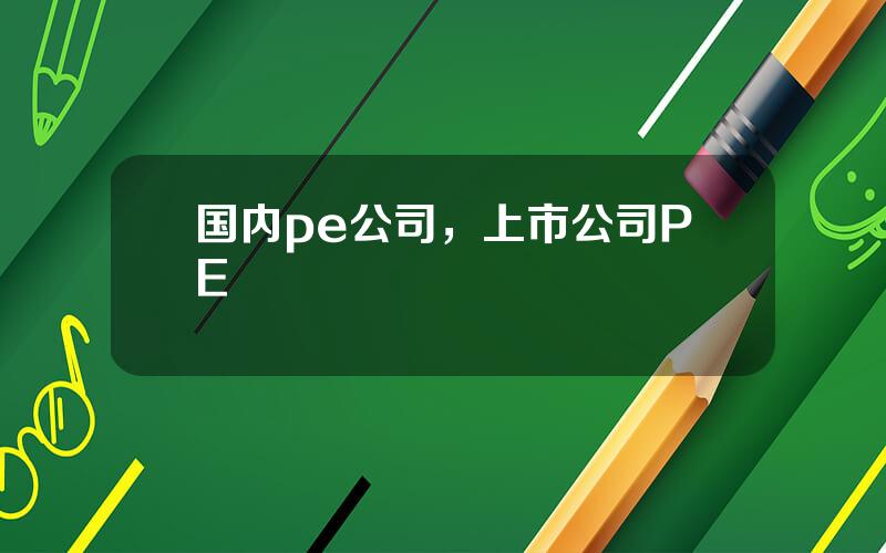 国内pe公司，上市公司PE