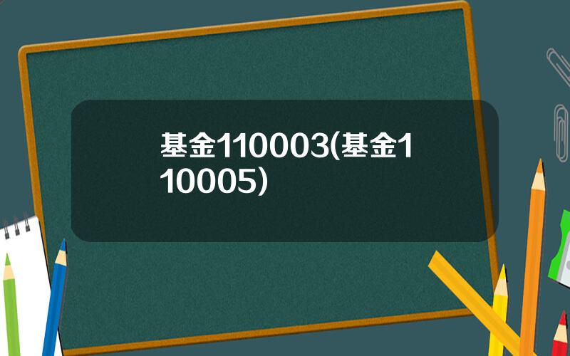 基金110003(基金110005)